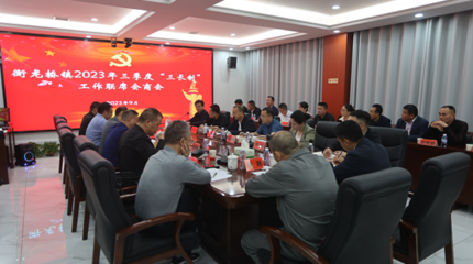 益阳市:全面推进“三长制”的益阳实践