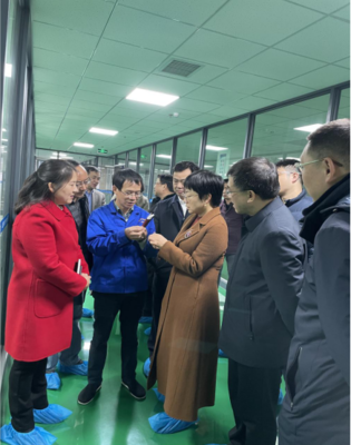 彭涛副厅长赴益阳调研，指导重大产品创新与电子产业项目建设